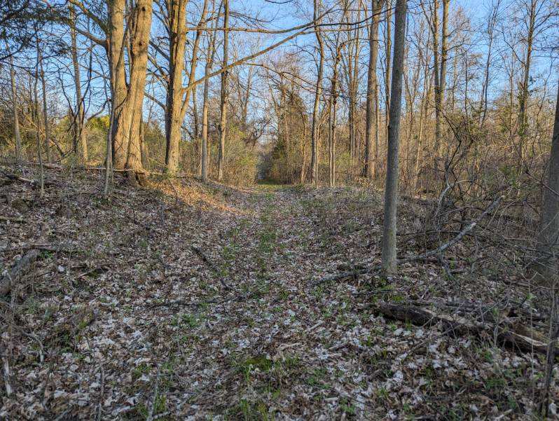 HLRBO Hunting Lease 70 acres in St. Lawrence County,New York