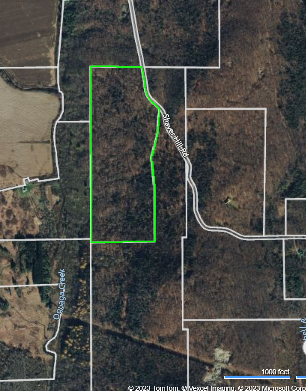 HLRBO Hunting Lease 80 acres in Chenango County,New York