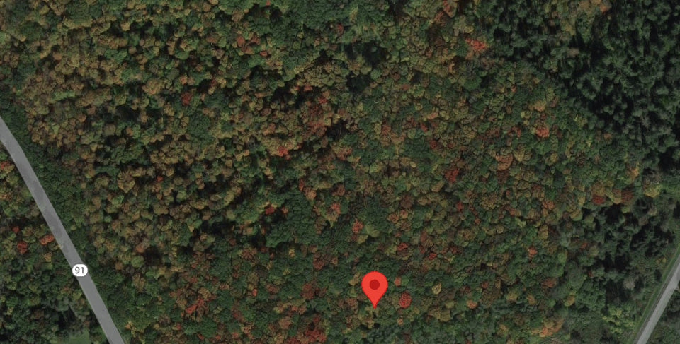 HLRBO Hunting Lease 63 acres in Cortland County,New York