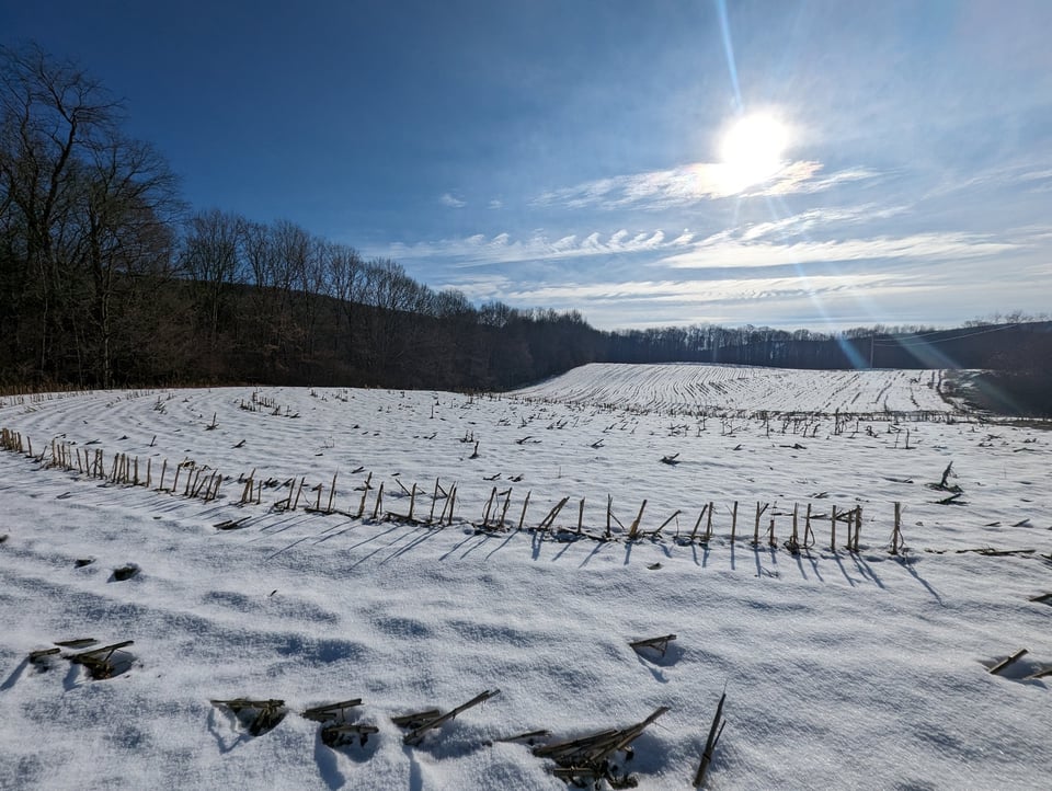 HLRBO Hunting Lease 63 acres in Cortland County,New York