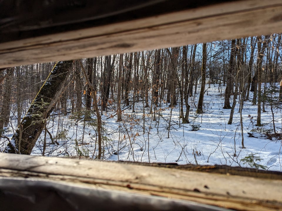 HLRBO Hunting Lease 63 acres in Cortland County,New York