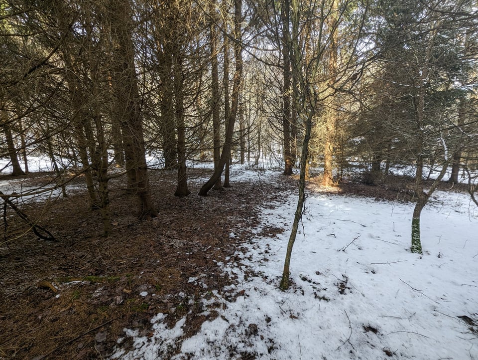 HLRBO Hunting Lease 63 acres in Cortland County,New York