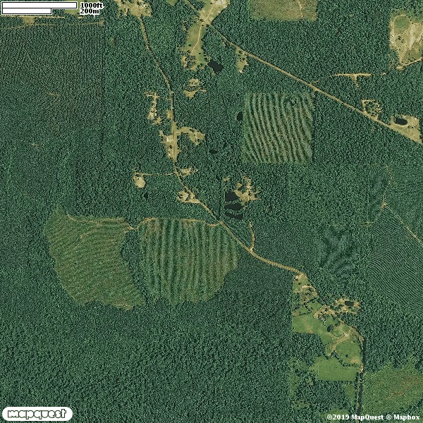 HLRBO Hunting Lease 280 acres in Cross County,Arkansas