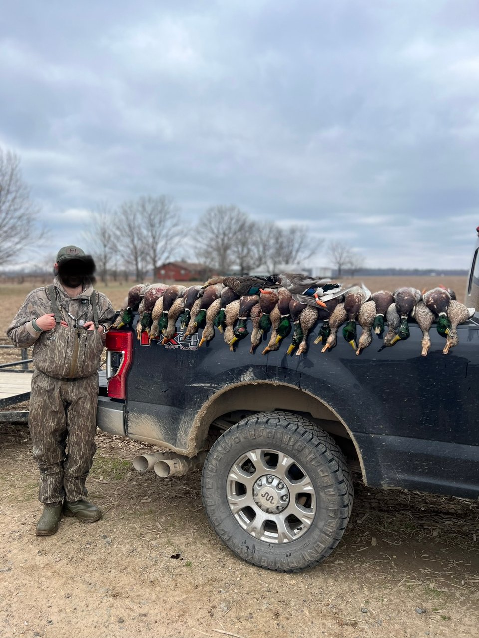 HLRBO Hunting Lease 53 acres in Lafayette County,Arkansas