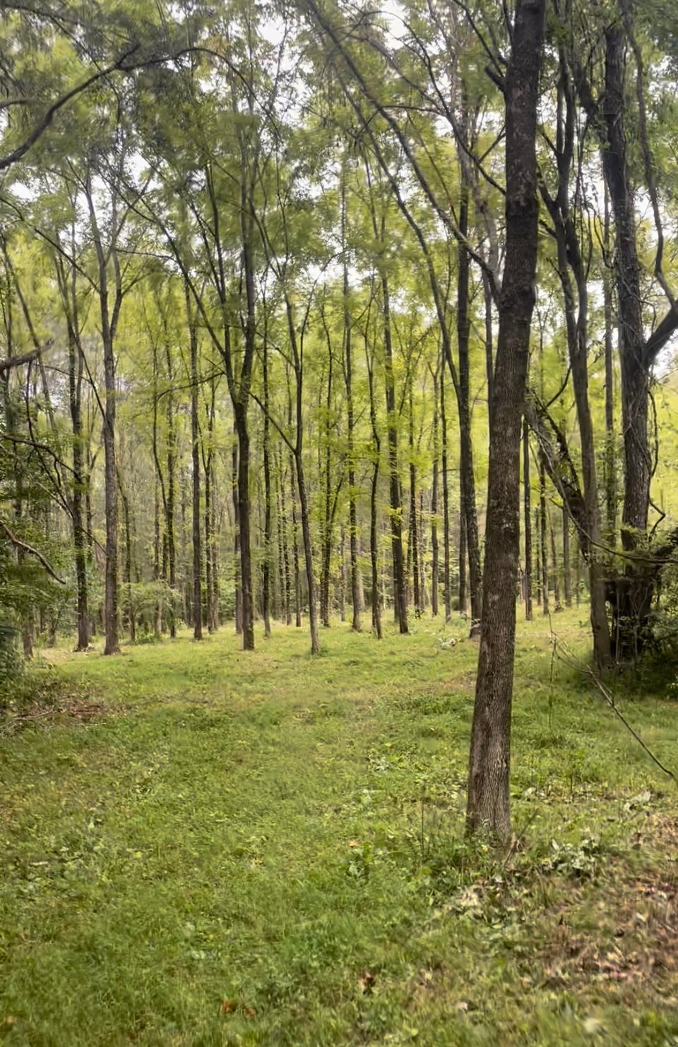 Hunting Land For Lease In Kentucky