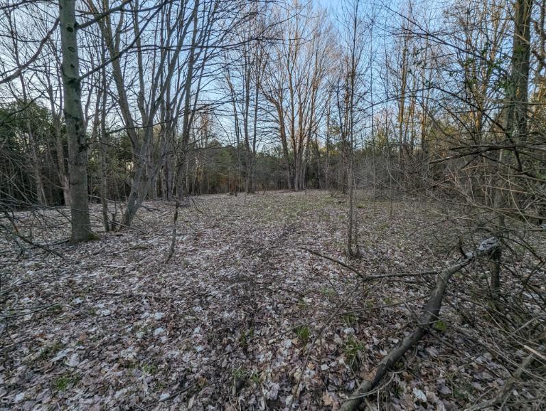 HLRBO Hunting Lease 70 acres in St. Lawrence County,New York