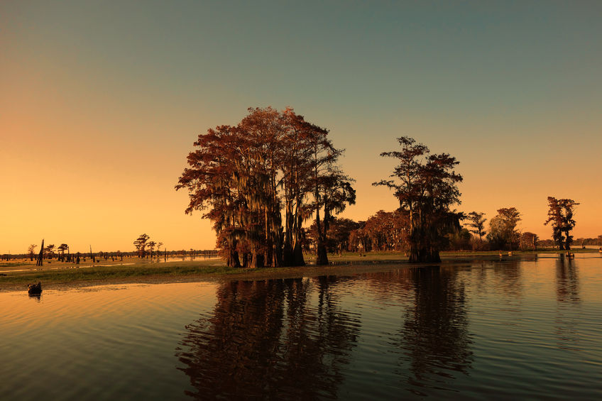 HLRBO Hunting In Louisiana