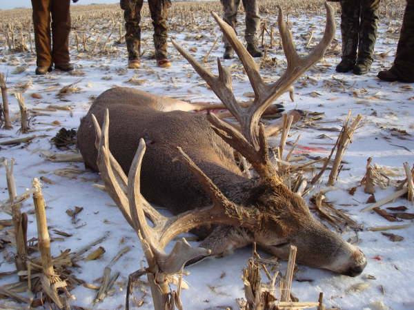 HLRBO - Clayton,Iowa Hunting Lease $3,900.00 Per Season