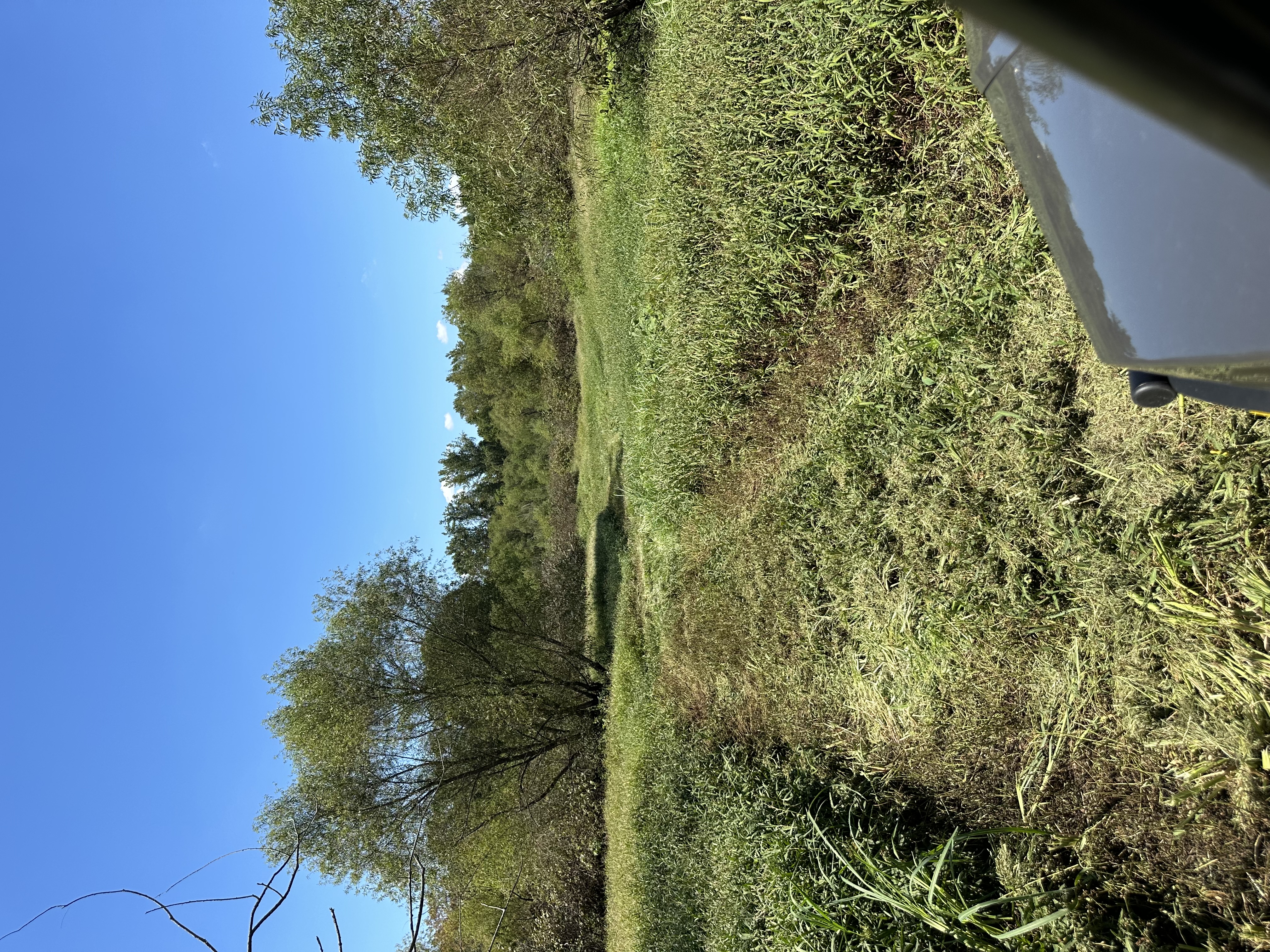 HLRBO Hunting Lease - 270 acres in Lawrence County,AL