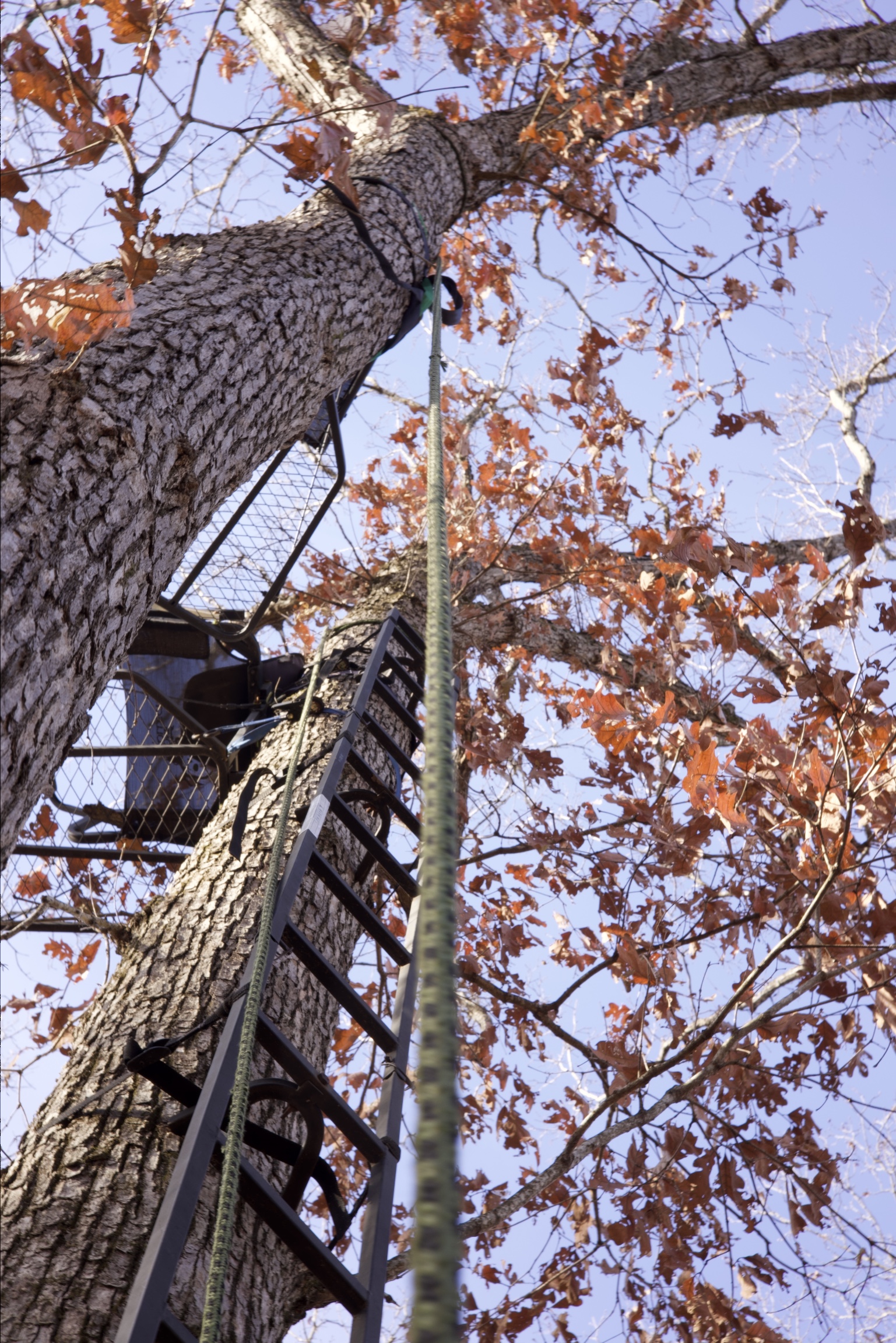 HLRBO Product Review MUDDY OUTDOORS THE SAFETY HARNESS LINEMANS ROPE