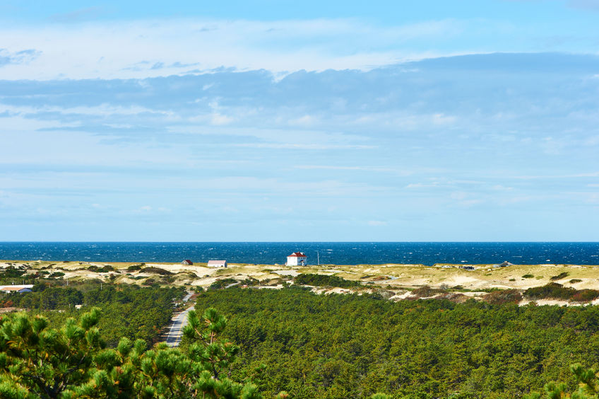 Find out more about hunting leasing in Massachusetts